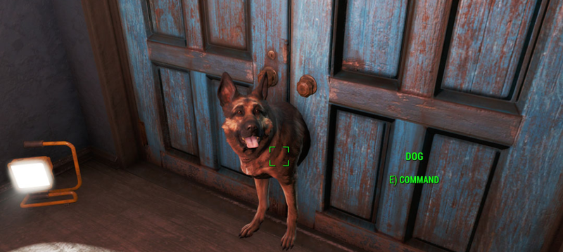 Bethesda is well known for their polished, stable, optimized gameplay experiences.